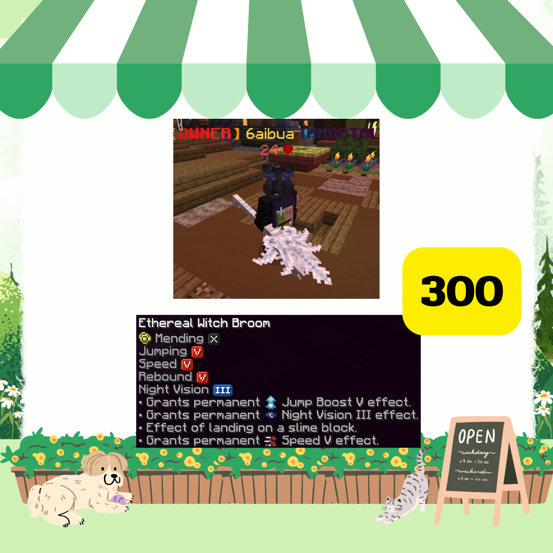 Ethereal  magic broom